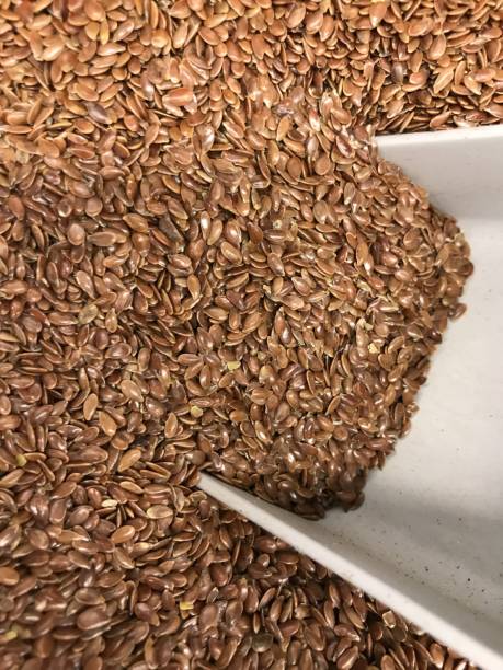 Common  Roasted Flax Seeds